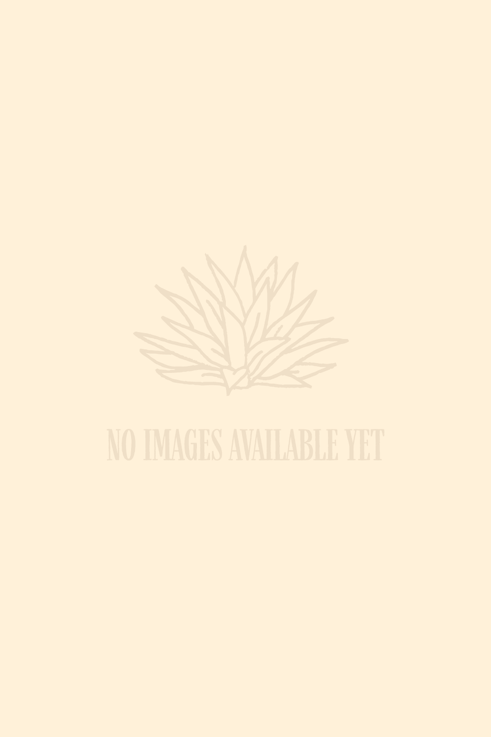 No image available