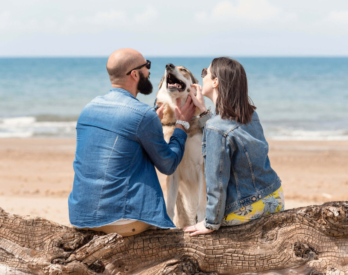 dog beach in san vincenzo