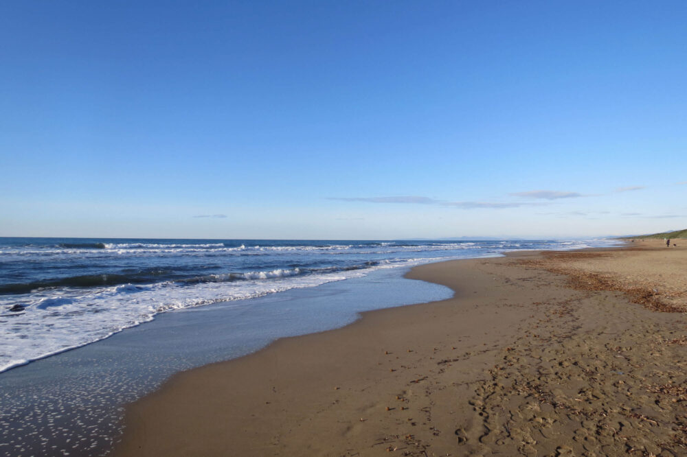 wonderful wide sandy beach in san vincenzo