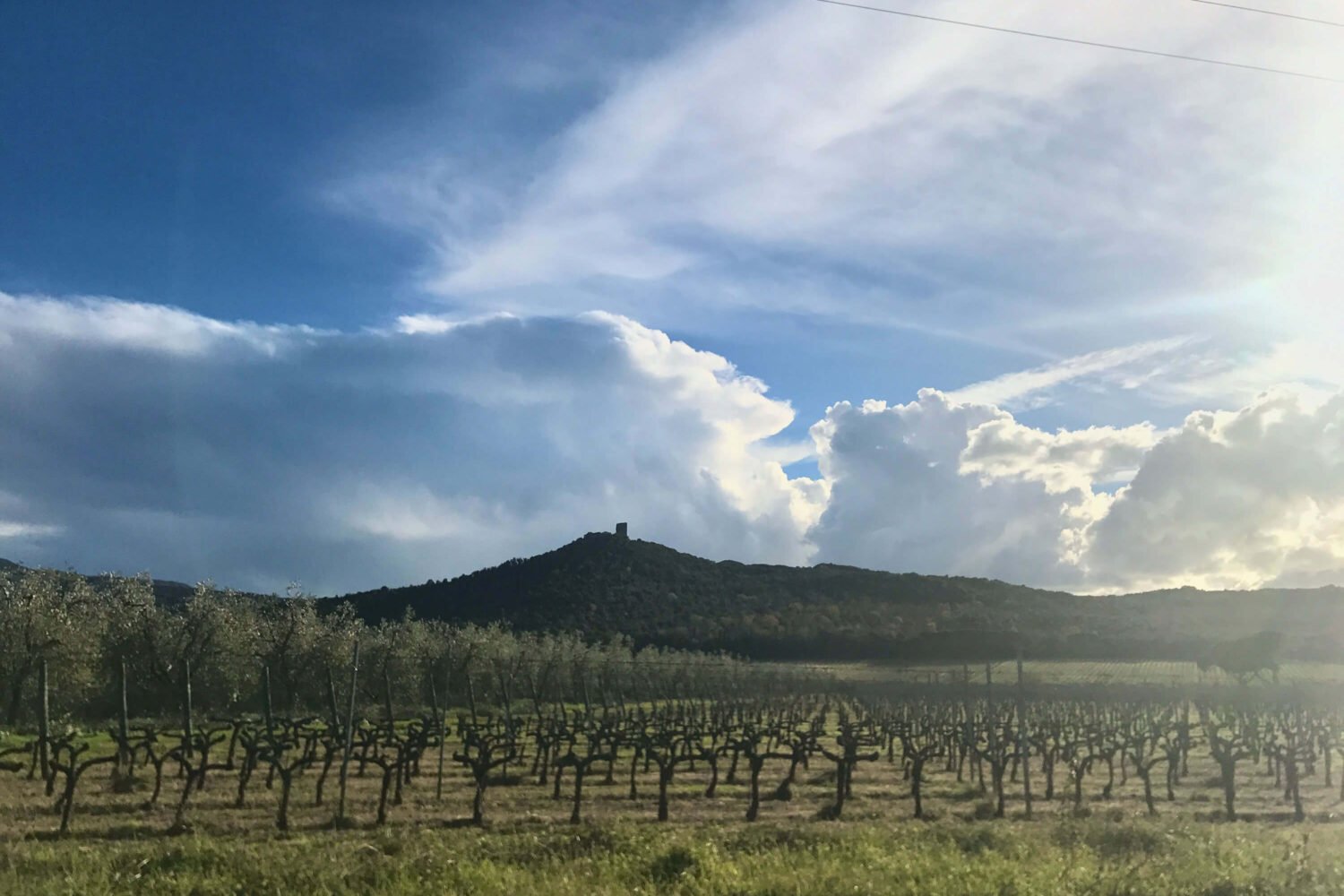 Trekking a San Vincenzo: vivere una vacanza al mare sportiva tra natura, sentieri e panorami mozzafiato 