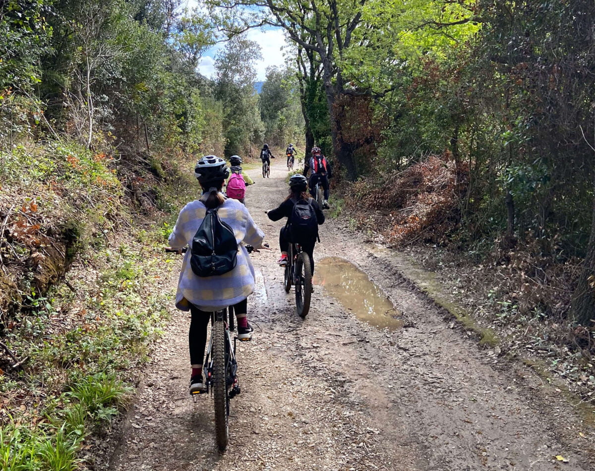 group bike trail in the mediterrean woods