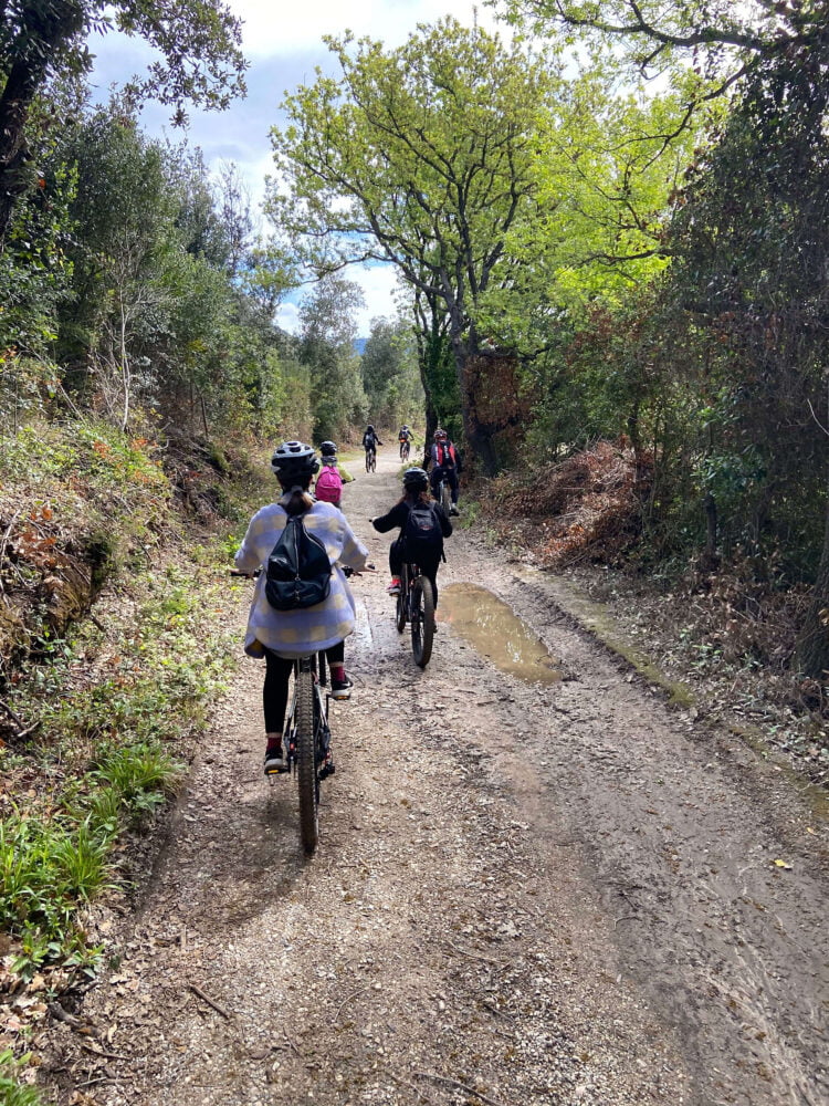 group bike trail in the mediterrean woods
