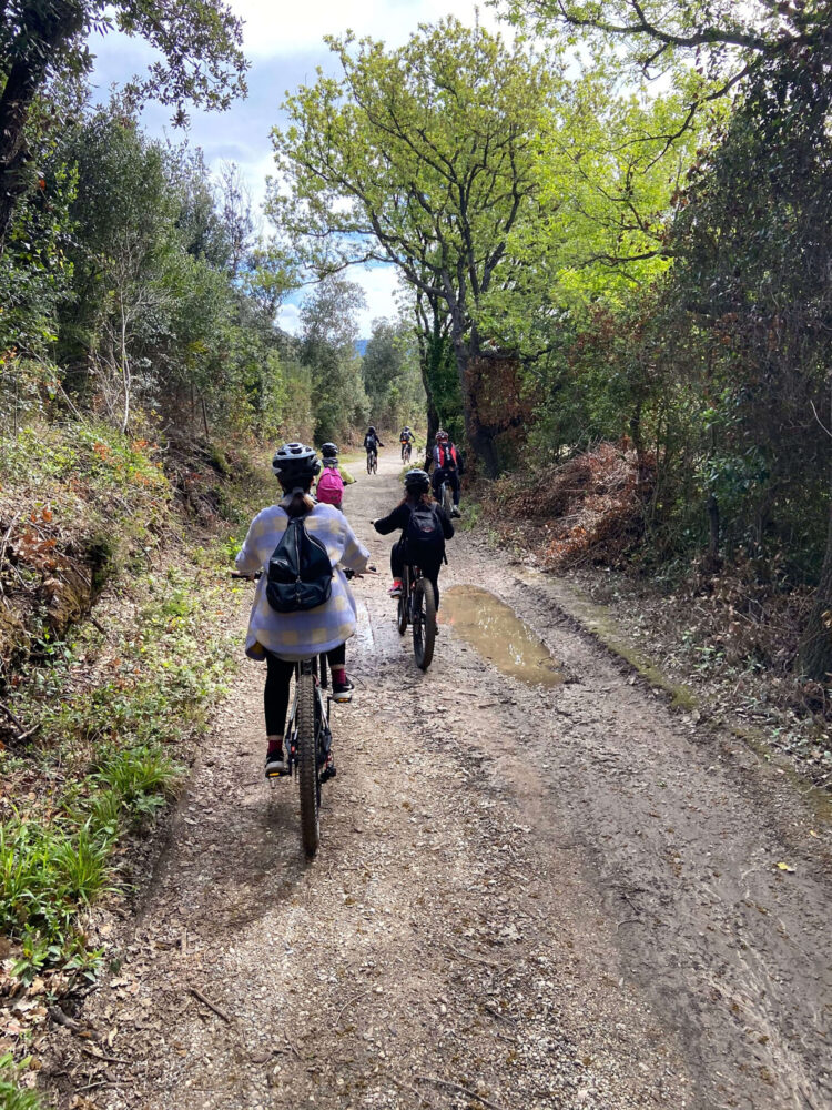 group bike trail in the mediterrean woods