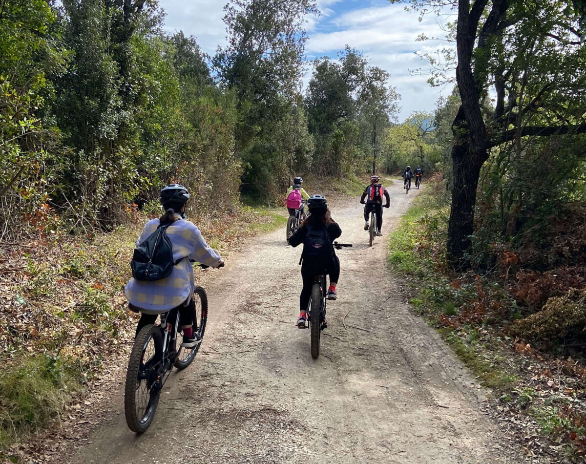 group bike trail in the mediterrean woods