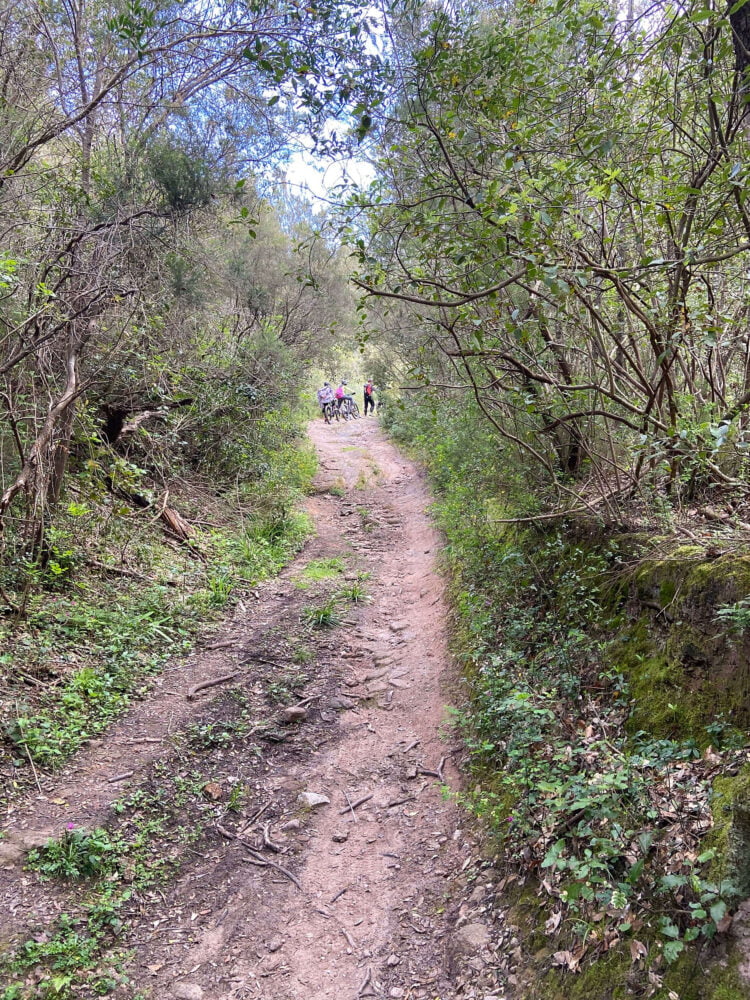 tuscany trail on the hills