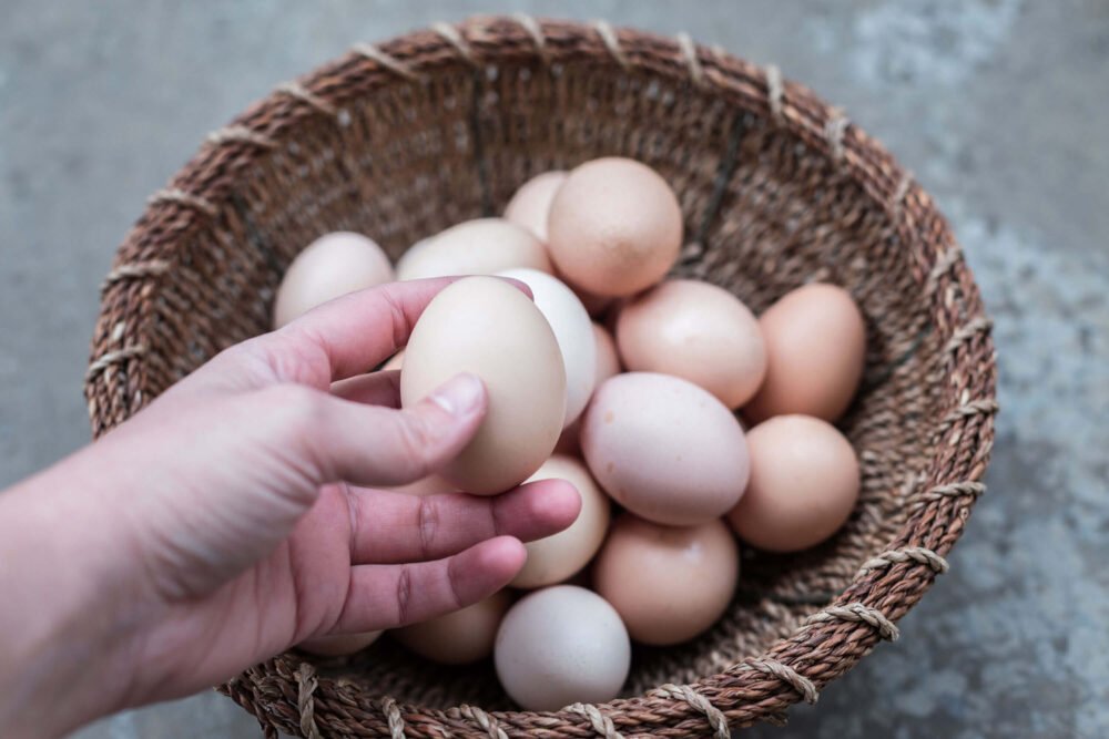 fresh eggs from our hens