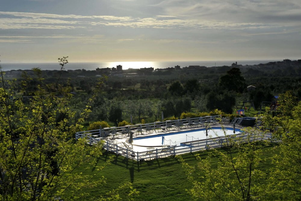 swimming pool in the middle of the olives trees
