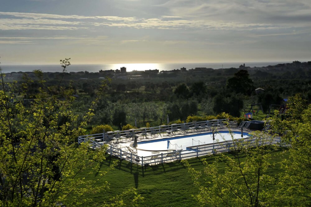 swimming pool in the middle of the olives trees