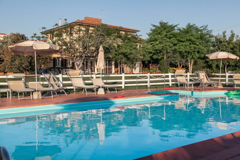garden with swimming pool