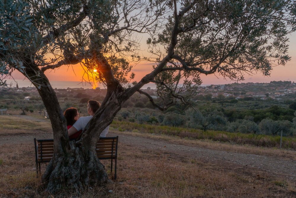 happy couple smiling at sunset in the olive garden