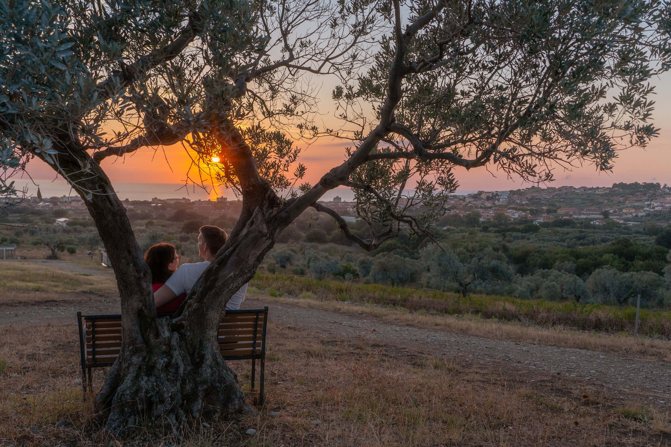 happy couple smiling at sunset in the olive garden