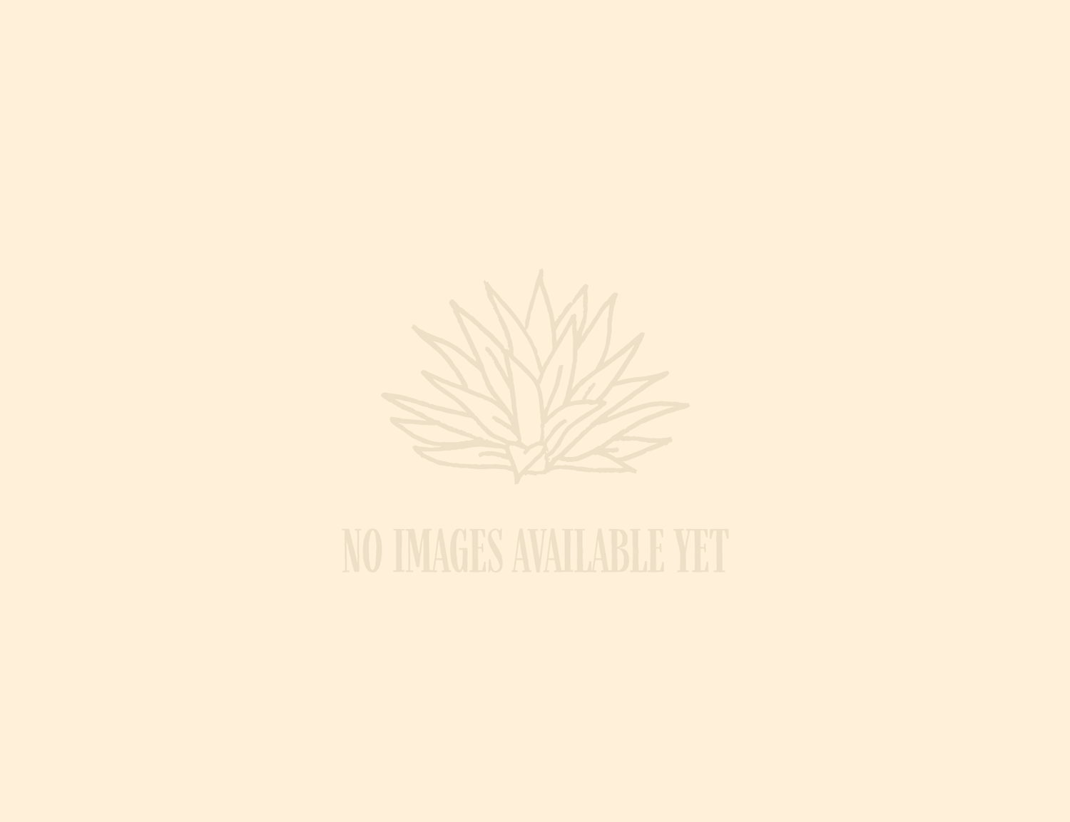 No image available
