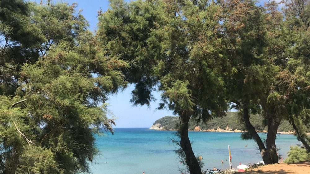 baratti beach nearby hotel with apartments in san vincenzo