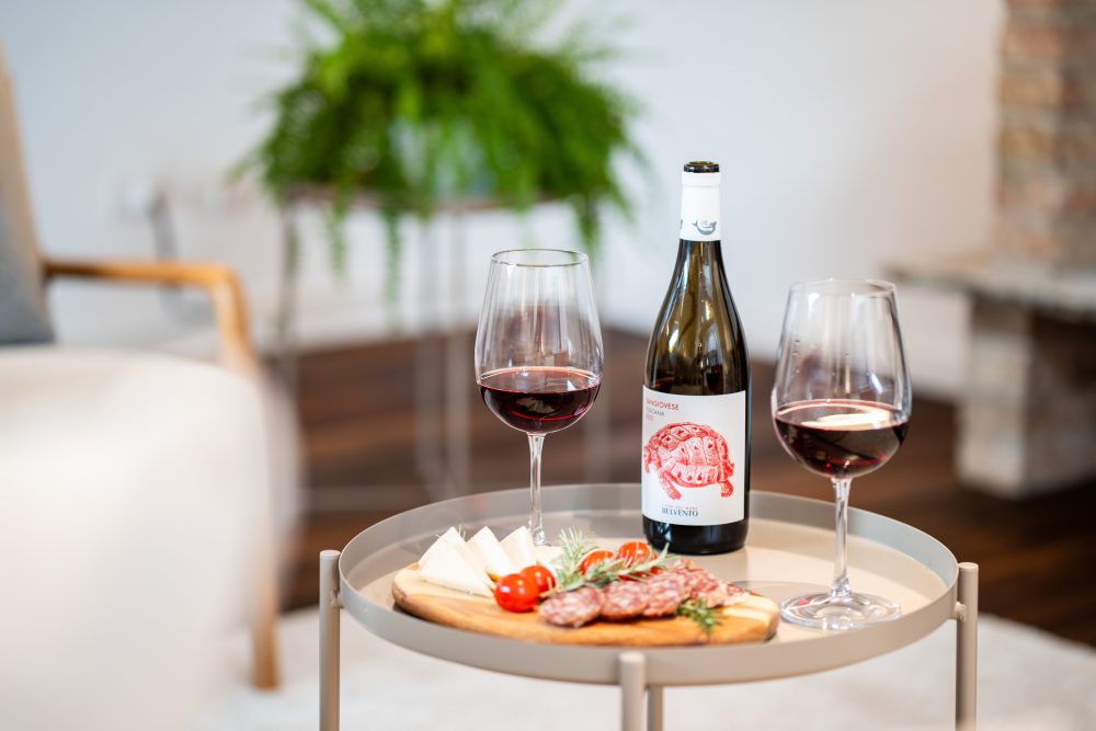 Time for an aperitif in your apartment with good wine and tasty products!
