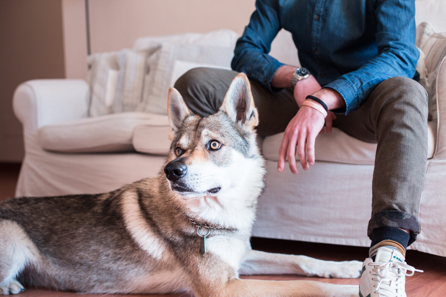 Vacation with Dog in San Vincenzo: Sea, Nature and Comfort at Santa Cecilia Residence