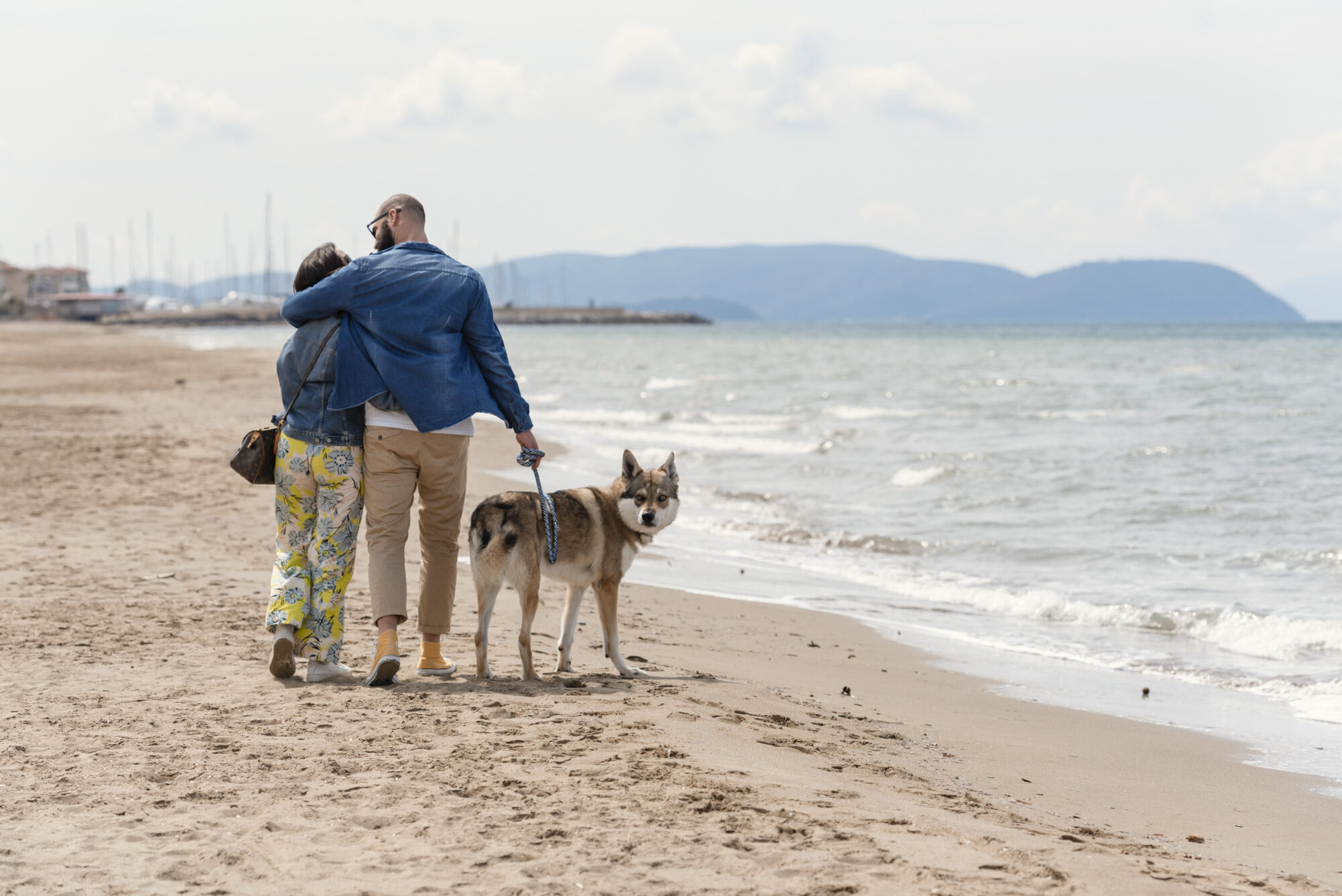 dog beach sea tuscany pet-friendly vacation santa cecilia hotel san vincenzo