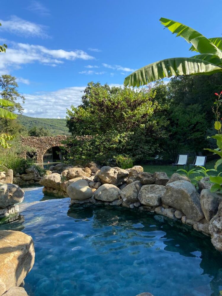 natural pool in the garden at the thermal house la cerreta near San Vincenzo